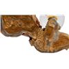 Image 12 : HAR Hargo Genie Fortune Teller Demi Parure
