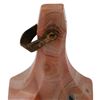 Image 4 : Antique Victorian Agate Stone Signet Pendant