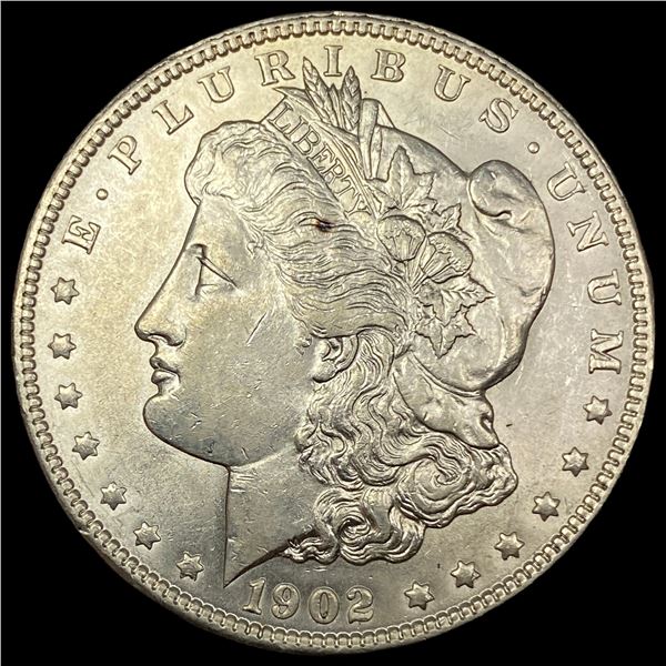 1902 Morgan Silver Dollar CHOICE AU