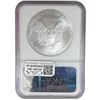 Image 3 : [2 Coins]2010-2017 Silver Eagle NGC MS69/70