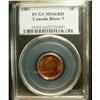 1985 1¢ Blunt 5 PCGS MS66RD.  Gem lustre.  