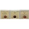 Image 1 : 2003, 2003P,2003 New Effigy 1¢ ICCS MS66 Red,  Lot of 3 coins,