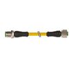 Image 1 : MURR Cable M12, 3 metres, 4 conducteurs