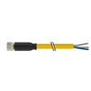 Image 1 : MURR Cable M8, 0 deg. 10 metres, 3 conducteurs