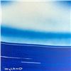 Image 3 : Fluke by Wyland Original
