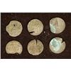 Image 2 : 6 SILVER DIME SIZED OTTOMAN EMPIRE PARA COINS: