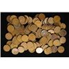 Image 1 : 144 LINCOLN WHEAT CENTS: 1924-1958