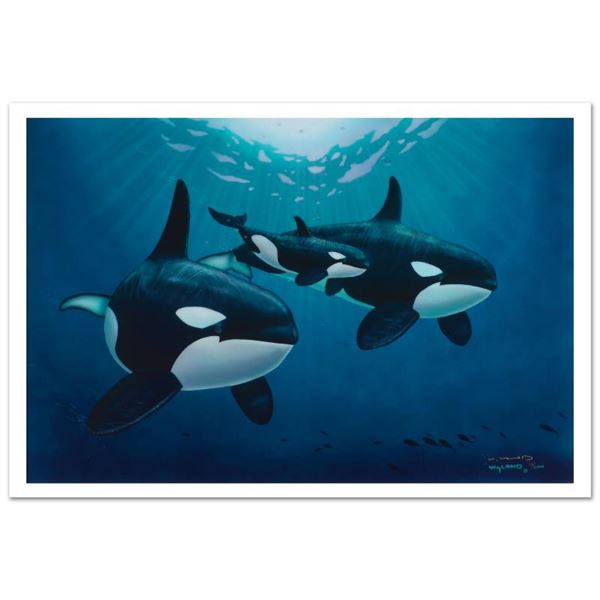 Orca Calling by Wyland,