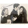 Image 1 : Suez Annabella signed movie photo