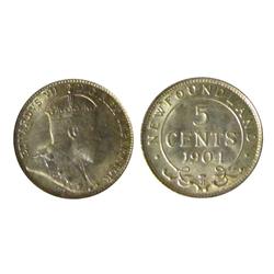 Nfld 1904H 5¢ ICCS MS65.  Lustrous with light greenish tones.