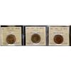 Image 1 : 1903, 1917 & 1919 1¢ ICCS MS63.  Lot of 3 coins. 1903 & 1917 Red Brown and the 1919 designated Red.