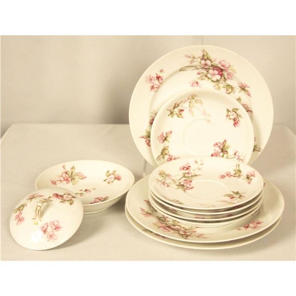 Vintage Havilland and Co Schleiger 241C Limoges 10pc ED1252