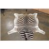 Image 2 : ZEBRA HIDE with Vibrant Stripes