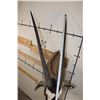 Image 8 : XL Heavy Horned GEMSBOK Shoulder Mount