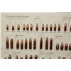 Image 3 : Hornady Bullet Advertisement Display with Real Bullets