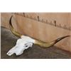 Image 2 : Texas LONGHORN Steer Skull with Removable Horns
