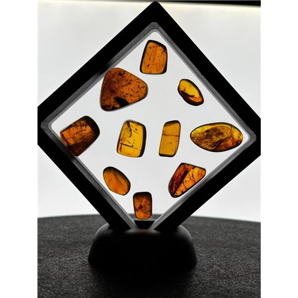 (10) Pieces of Authentic Myanmar AMBER Fossils with Multiple Insect Inclusions (ONE$)