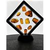 Image 2 : (10) Pieces of Authentic Myanmar AMBER Fossils with Multiple Insect Inclusions (ONE$)