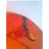 Image 7 : (10) Pieces of Authentic Myanmar AMBER Fossils with Multiple Insect Inclusions (ONE$)
