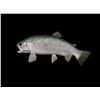 Image 1 : *New in Box* Reproduction RAINBOW TROUT Fish Mount
