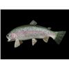 Image 2 : *New in Box* Reproduction RAINBOW TROUT Fish Mount