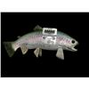 Image 4 : *New in Box* Reproduction RAINBOW TROUT Fish Mount