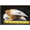 Image 2 : XL HORNBILL Skull