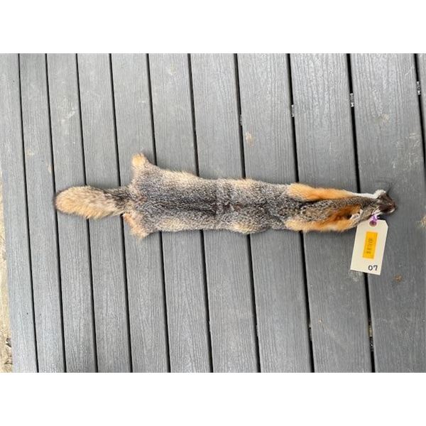 *New* Tanned Large GREY FOX Hide-Fur Skin