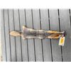 Image 1 : *New* Tanned Large GREY FOX Hide-Fur Skin