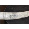 Image 3 : "The Bark Veronica out of New Bedford" Reproduction Scrimshawed WALRUS TUSK