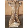 Image 8 : AXIS DEER Shoulder Mount