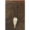 Image 2 : *TEXAS RESIDENTS ONLY* Big SCIMITAR HORNED ORYX Skull