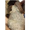 Image 7 : Big MERINO SHEEP RAM