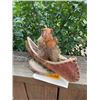 Image 4 : *New* Little Life-sized PINE SQUIRREL Paddling a Canoe
