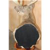 Image 12 : XL 11-Point WHITETAIL DEER Mounted on a Cedarwood Stump Pedestal