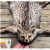 Image 1 : Large SPOTTED GENET CAT Rug with a Felt Backing