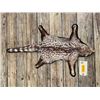 Image 2 : Large SPOTTED GENET CAT Rug with a Felt Backing