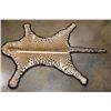 Image 2 : *TEXAS RESIDENTS ONLY* Felted LEOPARD Hide Rug
