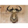 Image 1 : Big GOLDEN WILDEBEEST Shoulder Mount