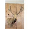 Image 1 : PERE DAVID'S DEER Wall Pedestal Mount