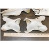 Image 11 : GIRAFFE Vertebrae and Cervical Bones for a Spinal Articulation (some sections are glued)