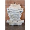 Image 8 : GIRAFFE Vertebrae and Cervical Bones for a Spinal Articulation (some sections are glued)