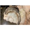 Image 7 : XXL ANGORA GOAT Wall Pedestal