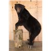 Image 1 : Life-sized BLACK BEAR on Bolts (No Base)