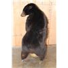 Image 8 : Life-sized BLACK BEAR on Bolts (No Base)