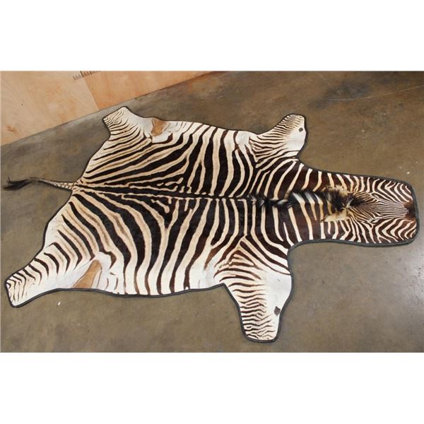ZEBRA Hide RUG with Leather Piping and a Carpet Backing