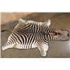 Image 1 : ZEBRA Hide RUG with Leather Piping and a Carpet Backing