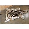 Image 2 : ZEBRA Hide RUG with Leather Piping and a Carpet Backing