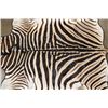Image 9 : ZEBRA Hide RUG with Leather Piping and a Carpet Backing