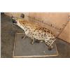 Image 8 : XL Life-sized SPOTTED HYENA on a Wood Base